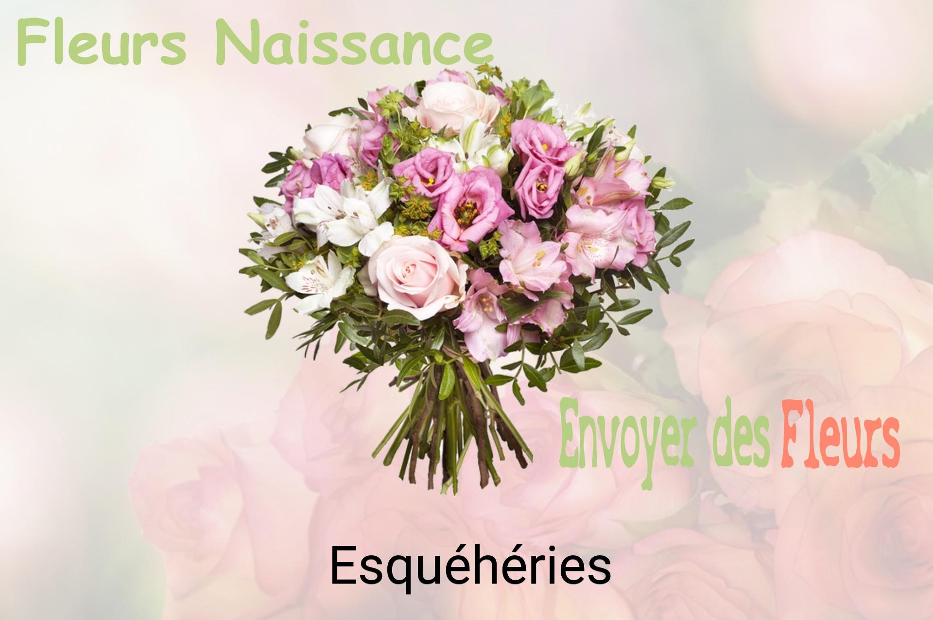 Bouquet de fleurs de naissance livré à Esquéhéries